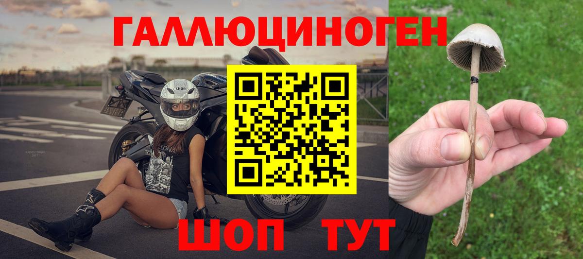 Галлюциногенные грибы Psilocybe  Вход с VPN  Псилоцибиновые грибы мухоморы  Москва 